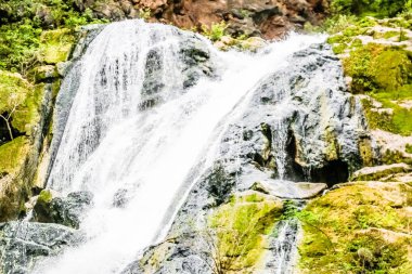 Ayn Khor 'daki şelale ve yemyeşil arazi, ağaçlar ve sisli dağlar turizm beldesi Salalah, Umman' da.
