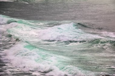 Al Mughsayl Sahili 'ndeki yemyeşil manzara ve Marneef Mağarası Rocky Dağları, Salalah, Umman