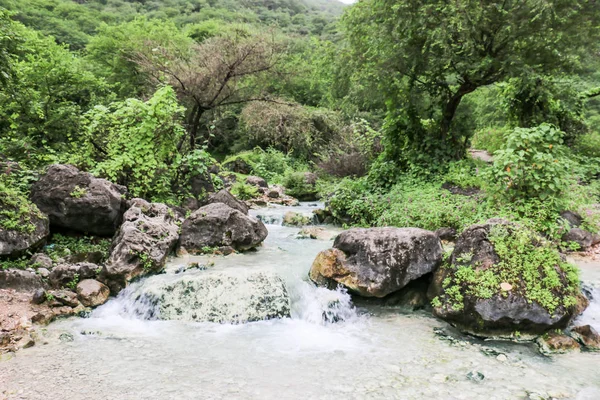 Waterfall in Ayn Khor and Lush green landscape, trees and foggy mountains at tourist resort, Salalah, Oman