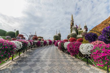 Güneşli bir günde 45 milyondan fazla çiçeğin bulunduğu Mucize Bahçesi 'nin Flourish Manzarası Dubai' de Çiçek Bahçesi, Uae