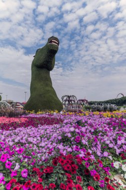 Güneşli bir günde 45 milyondan fazla çiçeğin bulunduğu Mucize Bahçesi 'nin Flourish Manzarası Dubai' de Çiçek Bahçesi, Uae