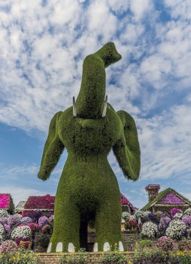 Güneşli bir günde 45 milyondan fazla çiçeğin bulunduğu Mucize Bahçesi 'nin Flourish Manzarası Dubai' de Çiçek Bahçesi, Uae