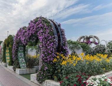 Güneşli bir günde 45 milyondan fazla çiçeğin bulunduğu Mucize Bahçesi 'nin Flourish Manzarası Dubai' de Çiçek Bahçesi, Uae