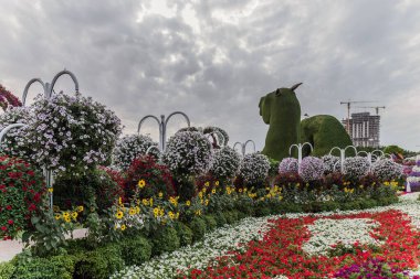 Güneşli bir günde 45 milyondan fazla çiçeğin bulunduğu Mucize Bahçesi 'nin Flourish Manzarası Dubai' de Çiçek Bahçesi, Uae