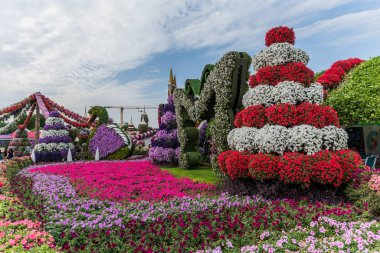 Güneşli bir günde 45 milyondan fazla çiçeğin bulunduğu Mucize Bahçesi 'nin Flourish Manzarası Dubai' de Çiçek Bahçesi, Uae