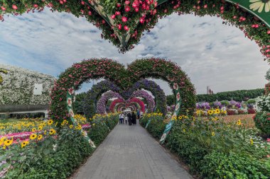 Güneşli bir günde 45 milyondan fazla çiçeğin bulunduğu Mucize Bahçesi 'nin Flourish Manzarası Dubai' de Çiçek Bahçesi, Uae