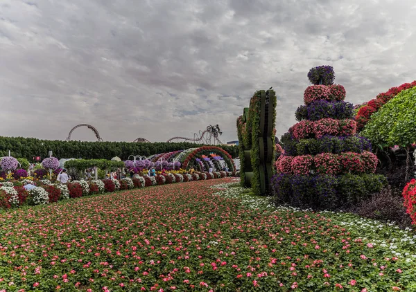 Beautiful Flourish Landscape Miracle Garden Million Flowers Sunny Day Flower — Stock Photo, Image