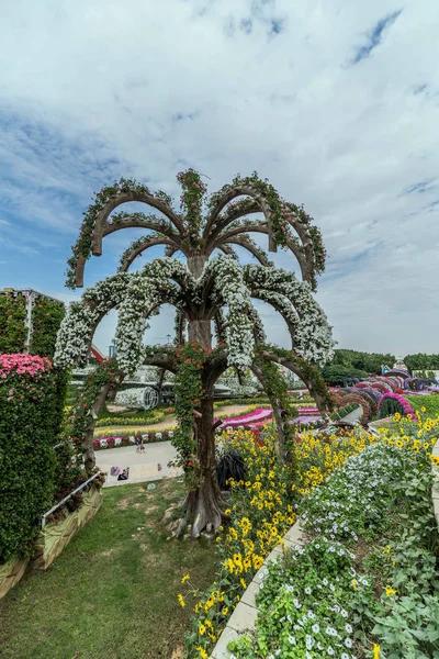 Hermoso Paisaje Florecido Miracle Garden Con Más Millones Flores Día —  Fotos de Stock