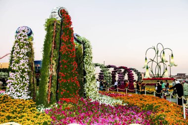 Güneşli bir günde 45 milyondan fazla çiçeğin bulunduğu Mucize Bahçesi 'nin Flourish Manzarası Dubai' de Çiçek Bahçesi, Uae