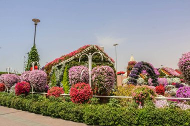 Güneşli bir günde 45 milyondan fazla çiçeğin bulunduğu Mucize Bahçesi 'nin Flourish Manzarası Dubai' de Çiçek Bahçesi, Uae