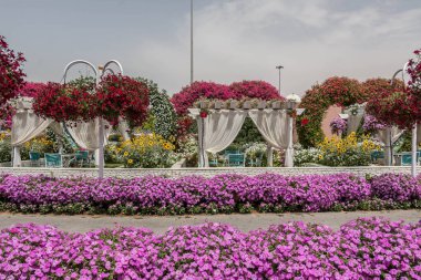Güneşli bir günde 45 milyondan fazla çiçeğin bulunduğu Mucize Bahçesi 'nin Flourish Manzarası Dubai' de Çiçek Bahçesi, Uae
