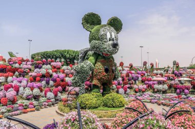 Güneşli bir günde 45 milyondan fazla çiçeğin bulunduğu Mucize Bahçesi 'nin Flourish Manzarası Dubai' de Çiçek Bahçesi, Uae