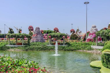 Güneşli bir günde 45 milyondan fazla çiçeğin bulunduğu Mucize Bahçesi 'nin Flourish Manzarası Dubai' de Çiçek Bahçesi, Uae