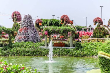 Güneşli bir günde 45 milyondan fazla çiçeğin bulunduğu Mucize Bahçesi 'nin Flourish Manzarası Dubai' de Çiçek Bahçesi, Uae