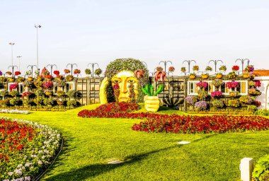Güneşli bir günde 45 milyondan fazla çiçeğin bulunduğu Mucize Bahçesi 'nin Flourish Manzarası Dubai' de Çiçek Bahçesi, Uae