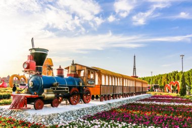 Güneşli bir günde 45 milyondan fazla çiçeğin bulunduğu Mucize Bahçesi 'nin Flourish Manzarası Dubai' de Çiçek Bahçesi, Uae