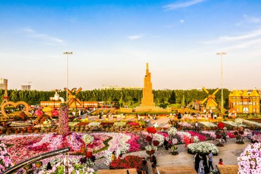 Güneşli bir günde 45 milyondan fazla çiçeğin bulunduğu Mucize Bahçesi 'nin Flourish Manzarası Dubai' de Çiçek Bahçesi, Uae