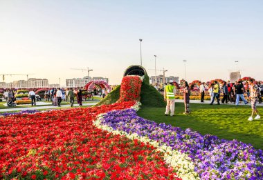 Güneşli bir günde 45 milyondan fazla çiçeğin bulunduğu Mucize Bahçesi 'nin Flourish Manzarası Dubai' de Çiçek Bahçesi, Uae