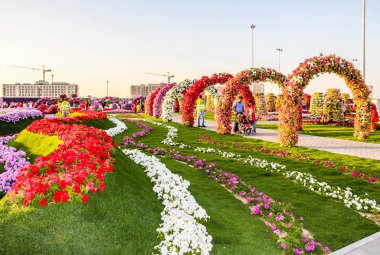 Güneşli bir günde 45 milyondan fazla çiçeğin bulunduğu Mucize Bahçesi 'nin Flourish Manzarası Dubai' de Çiçek Bahçesi, Uae