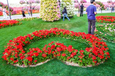 Güneşli bir günde 45 milyondan fazla çiçeğin bulunduğu Mucize Bahçesi 'nin Flourish Manzarası Dubai' de Çiçek Bahçesi, Uae