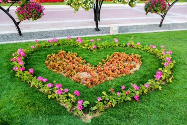 Güneşli bir günde 45 milyondan fazla çiçeğin bulunduğu Mucize Bahçesi 'nin Flourish Manzarası Dubai' de Çiçek Bahçesi, Uae