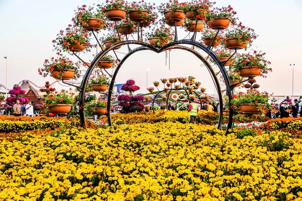 Hermoso Paisaje Florecido Miracle Garden Con Más Millones Flores Día — Foto de Stock