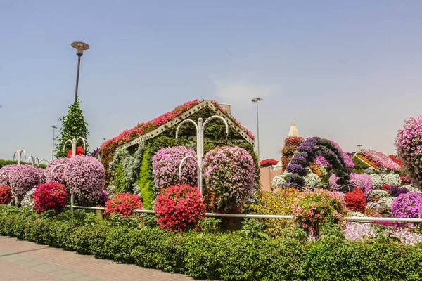 Linda Paisagem Florescente Miracle Garden Com Mais Milhões Flores Dia — Fotografia de Stock