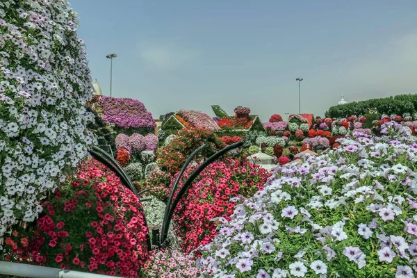 Linda Paisagem Florescente Miracle Garden Com Mais Milhões Flores Dia — Fotografia de Stock
