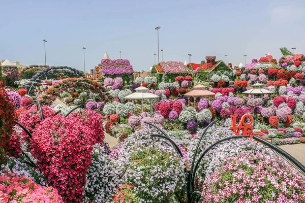 Linda Paisagem Florescente Miracle Garden Com Mais Milhões Flores Dia — Fotografia de Stock
