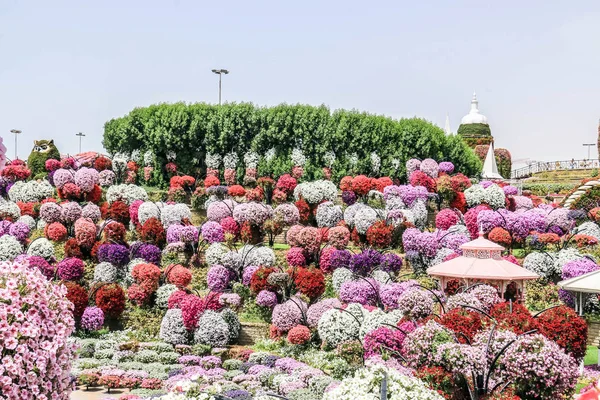 Wunderschöne Blühende Landschaft Des Wundergartens Mit Über Millionen Blumen Einem — Stockfoto