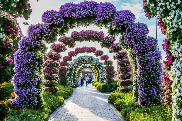 Hermoso Paisaje Florecido Miracle Garden Con Más Millones Flores Día —  Fotos de Stock