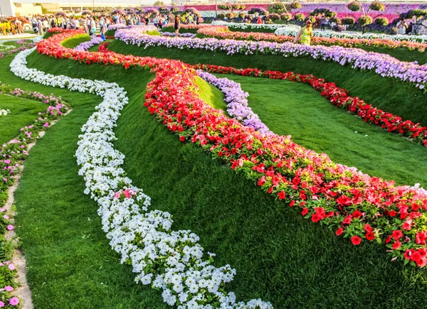 Linda Paisagem Florescente Miracle Garden Com Mais Milhões Flores Dia — Fotografia de Stock