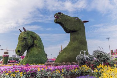 Güneşli bir günde 45 milyondan fazla çiçeğin bulunduğu Mucize Bahçesi 'nin Flourish Manzarası Dubai' de Çiçek Bahçesi, Uae