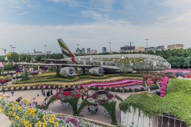 Güneşli bir günde 45 milyondan fazla çiçeğin bulunduğu Mucize Bahçesi 'nin Flourish Manzarası Dubai' de Çiçek Bahçesi, Uae