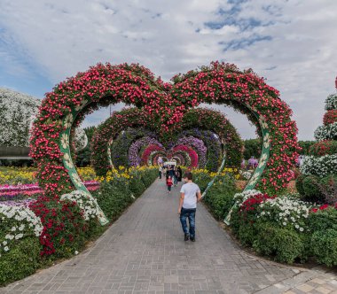 Güneşli bir günde 45 milyondan fazla çiçeğin bulunduğu Mucize Bahçesi 'nin Flourish Manzarası Dubai' de Çiçek Bahçesi, Uae