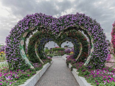 Güneşli bir günde 45 milyondan fazla çiçeğin bulunduğu Mucize Bahçesi 'nin Flourish Manzarası Dubai' de Çiçek Bahçesi, Uae