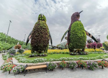 Güneşli bir günde 45 milyondan fazla çiçeğin bulunduğu Mucize Bahçesi 'nin Flourish Manzarası Dubai' de Çiçek Bahçesi, Uae