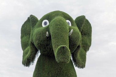 Güneşli bir günde 45 milyondan fazla çiçeğin bulunduğu Mucize Bahçesi 'nin Flourish Manzarası Dubai' de Çiçek Bahçesi, Uae