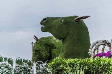 Güneşli bir günde 45 milyondan fazla çiçeğin bulunduğu Mucize Bahçesi 'nin Flourish Manzarası Dubai' de Çiçek Bahçesi, Uae
