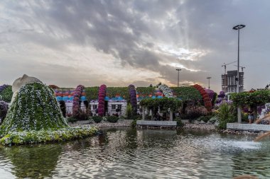 Güneşli bir günde 45 milyondan fazla çiçeğin bulunduğu Mucize Bahçesi 'nin Flourish Manzarası Dubai' de Çiçek Bahçesi, Uae