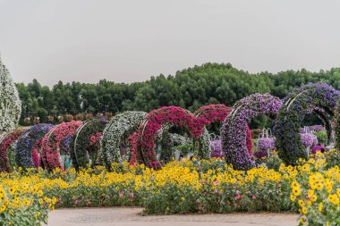 Güneşli bir günde 45 milyondan fazla çiçeğin bulunduğu Mucize Bahçesi 'nin Flourish Manzarası Dubai' de Çiçek Bahçesi, Uae