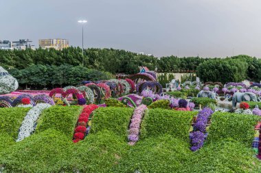 Güneşli bir günde 45 milyondan fazla çiçeğin bulunduğu Mucize Bahçesi 'nin Flourish Manzarası Dubai' de Çiçek Bahçesi, Uae