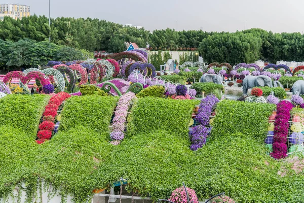 Hermoso Paisaje Florecido Miracle Garden Con Más Millones Flores Día — Foto de Stock