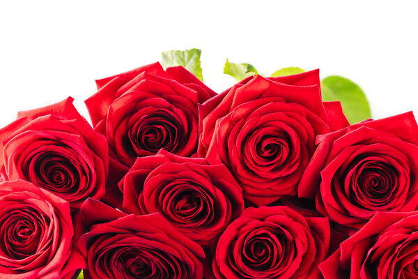 Close up bouquet of red roses on a white background for Valentines day.