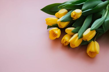 Sarı laleli pembe arkaplan, bahar kompozisyonu.