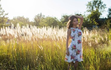 Çiçekli beyaz Midi elbiseli çekici bir kız. Dikenli tarlada poz veriyor. Gün batımını seyrediyor.