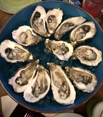 Buz yastığında taze istiridye, lüks deniz ürünleri restoranı yemeği. 