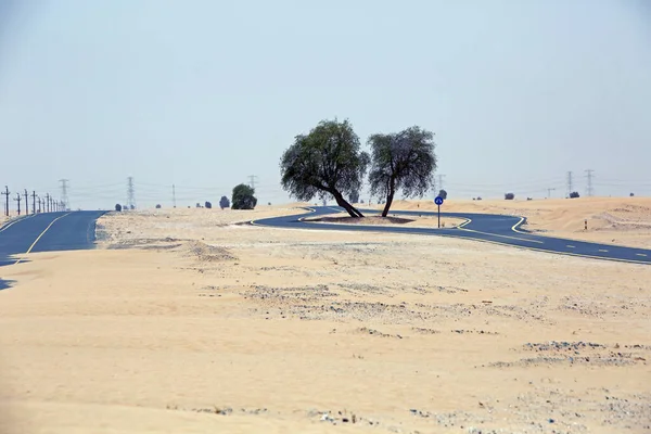 Blick Auf Gegabelte Doppelwege Mitten Der Wüste Mit Bäumen Inneren — Stockfoto