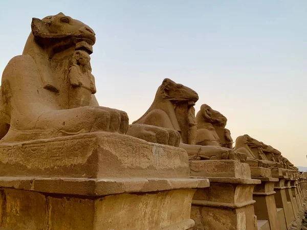 Estátuas Egípcias Monumentos Com Animais Antigos Entrada Templo Karnak Luxor — Fotografia de Stock