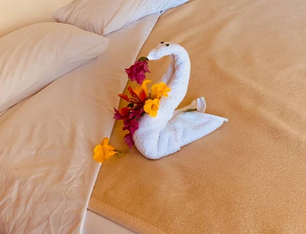 Towels hotel art, romantic service for honeymoon, white tower in swan shape and flower in bed